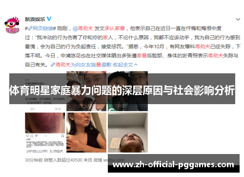 体育明星家庭暴力问题的深层原因与社会影响分析