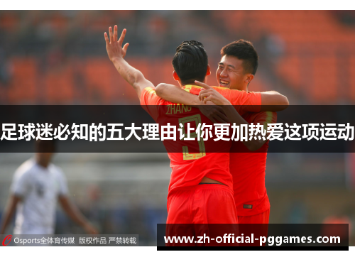 足球迷必知的五大理由让你更加热爱这项运动