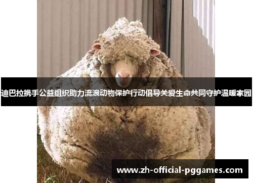 迪巴拉携手公益组织助力流浪动物保护行动倡导关爱生命共同守护温暖家园 迪巴拉携手公益组织助力流浪动物保护行动倡导关爱生命共同守护温暖家园