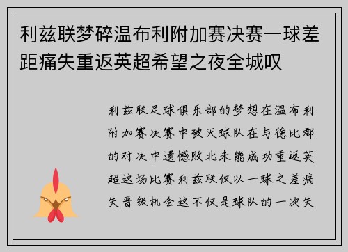 利兹联梦碎温布利附加赛决赛一球差距痛失重返英超希望之夜全城叹