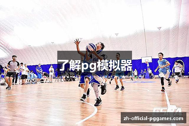 了解pg模拟器